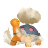 Torkoal