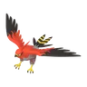 Talonflame